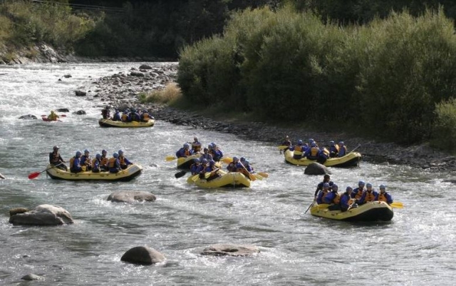  Actividades grupales 